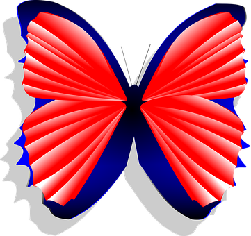 Redand Blue Butterfly Graphic