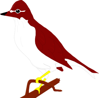 Redand White Bird Illustration PNG with transparent background