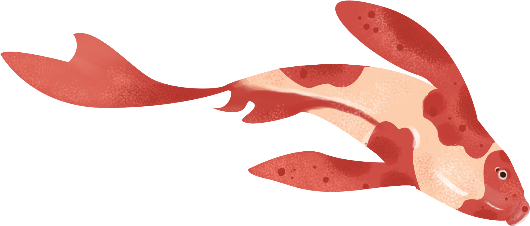 Redand White Koi Fish Illustration