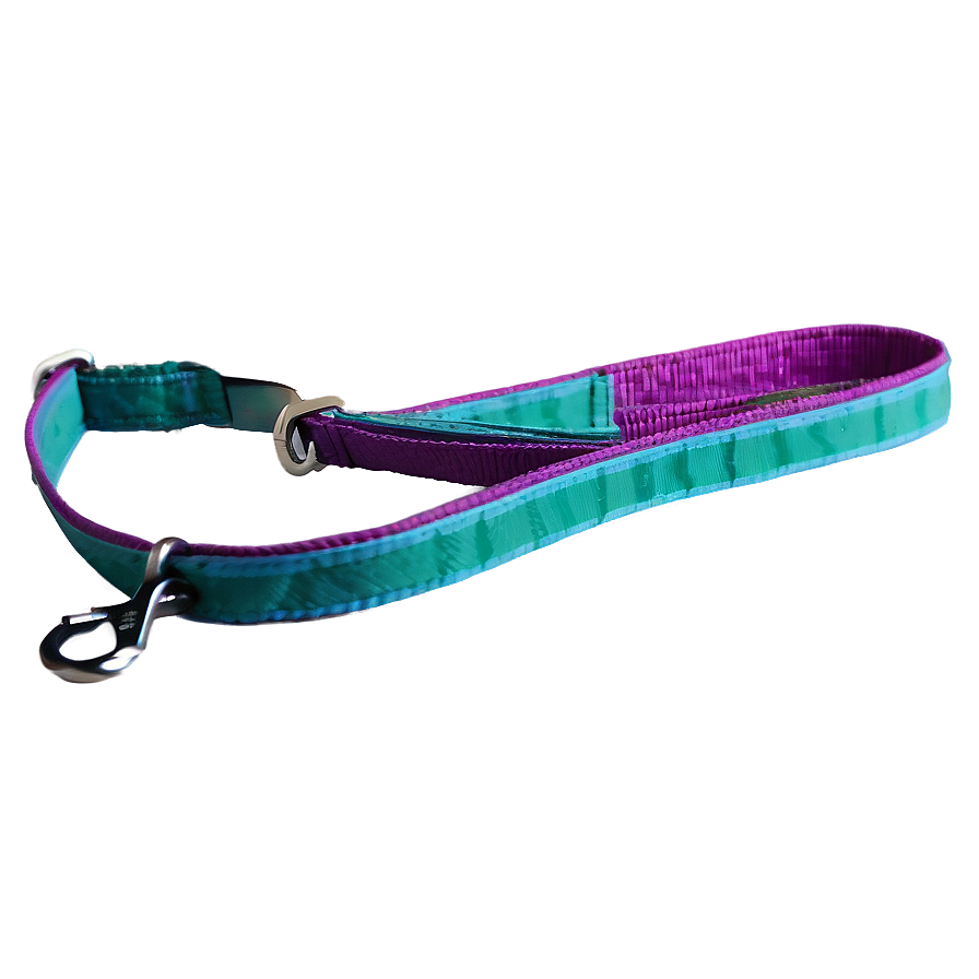 Reflective Dog Leash Png 93