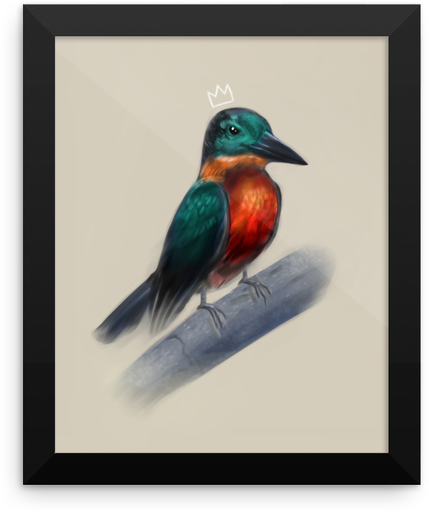 Regal Kingfisher Artwork PNG with transparent background
