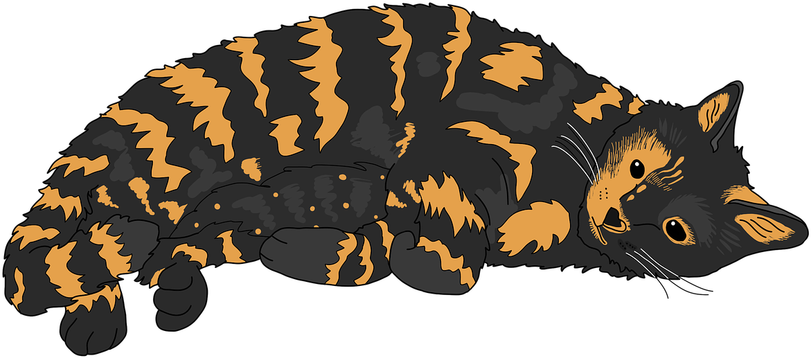 Cat Tortoiseshell Cat Cute Cat Free Photo - My Cat Is Family, HD Png Download PNG with transparent background