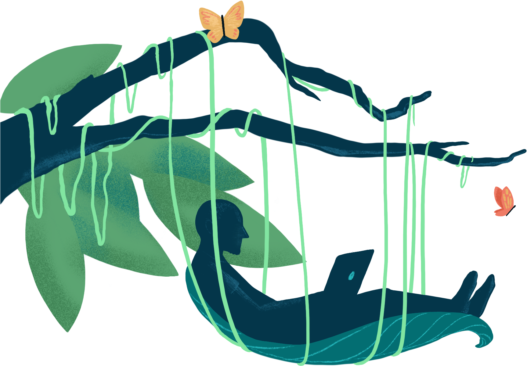 Rainforest Png, Transparent Png PNG with transparent background