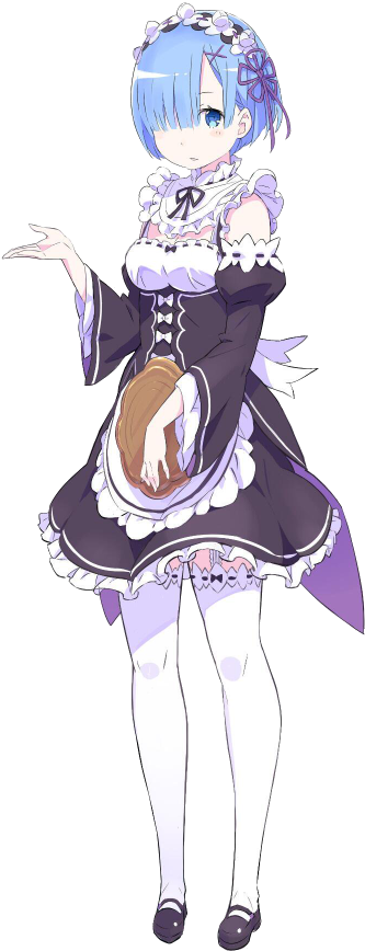 Rem Re Zero Maid Outfit