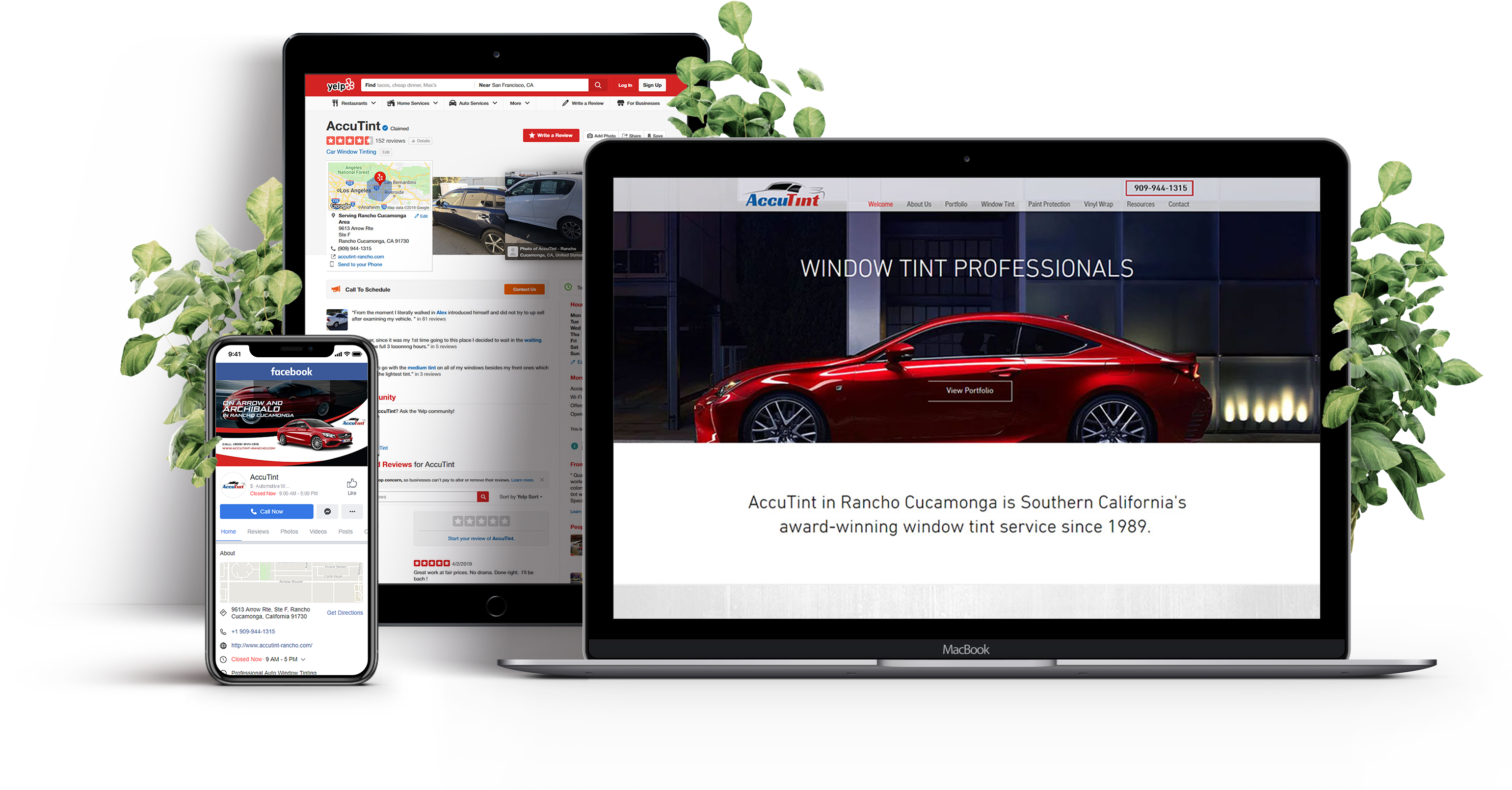 Responsive Web Design Accu Tint Showcase