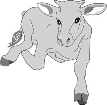 Resting Calf Illustration PNG with transparent background