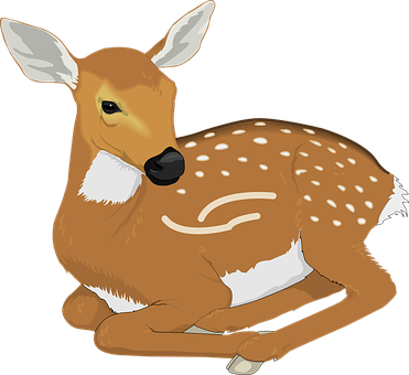 Resting Fawn Illustration PNG with transparent background
