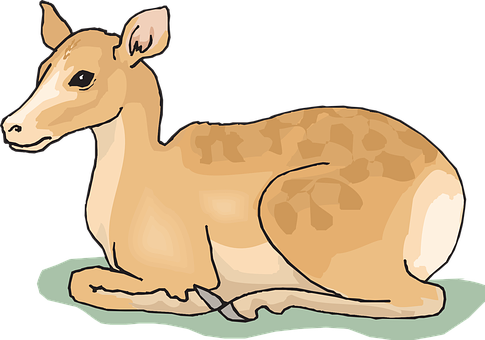 Resting Fawn Illustration.jpg PNG with transparent background