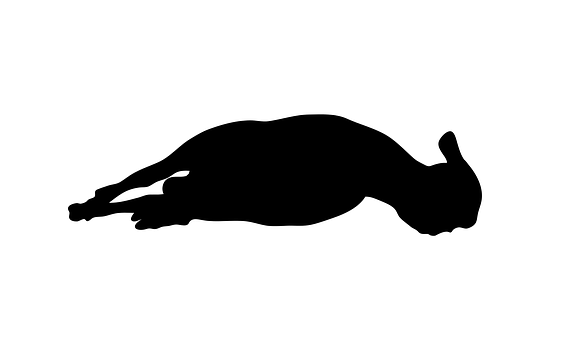 Resting Sheep Silhouette