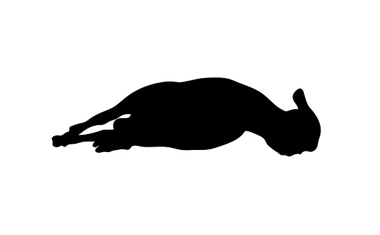 Resting Sheep Silhouette.jpg