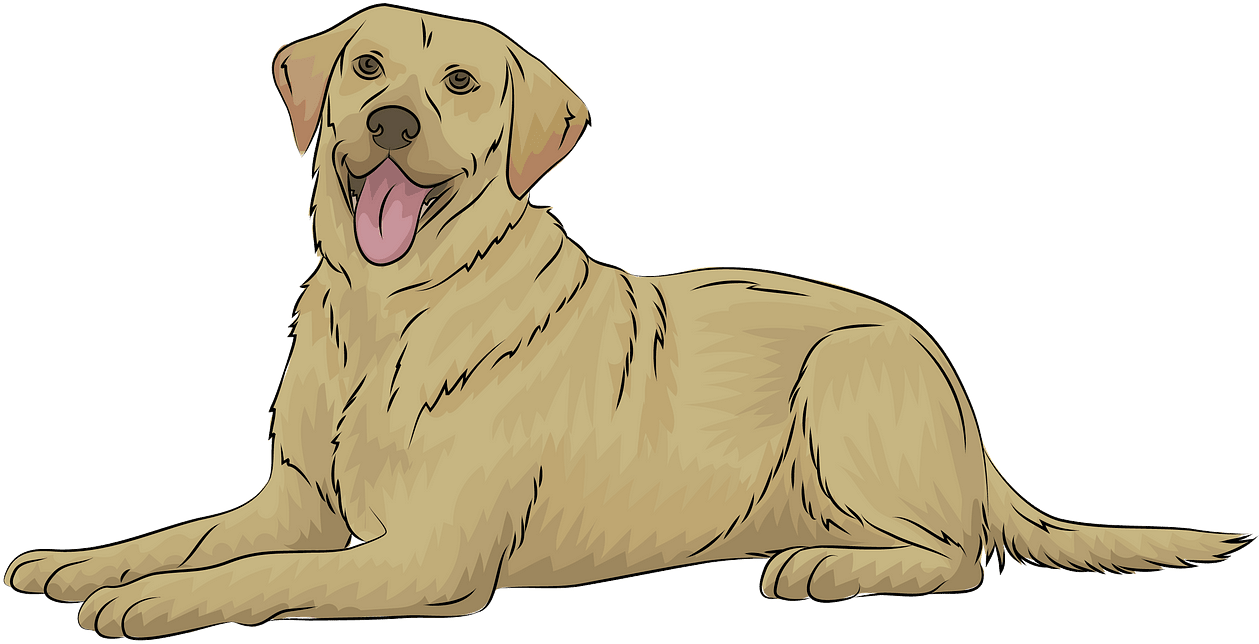 Retriever Free Download Creazilla - Labrador Retriever Clipart, HD Png Download PNG with transparent background