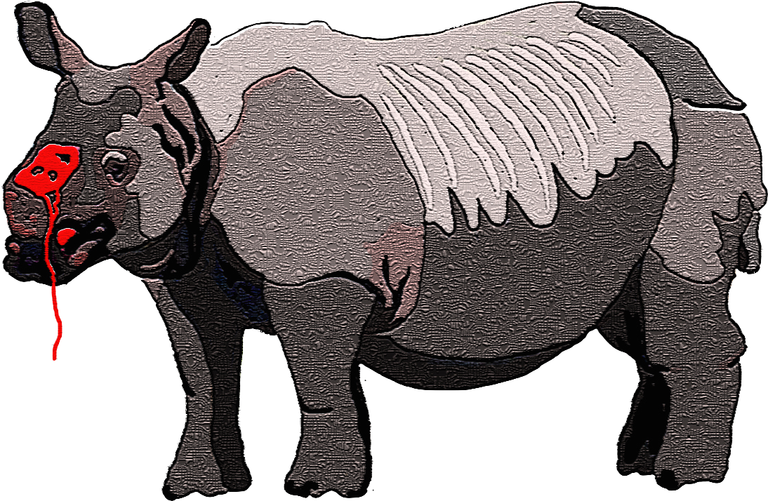 Rhino For Blog - Poaching Cartoon Rhino Horns, HD Png Download PNG with transparent background