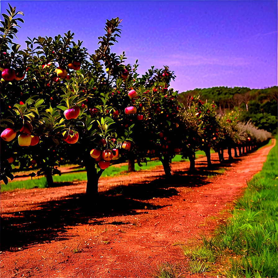 Rhode Island Apple Orchard Png Wdf