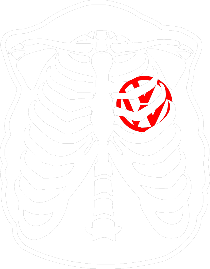 Ribcage Womb Illustration