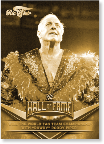 Ric Flair W W E Hallof Fame Portrait