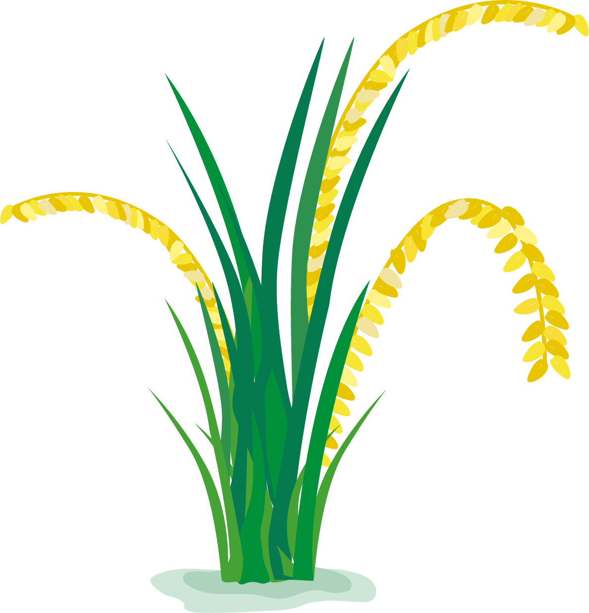 Field Cartoon In A - Rice Field Cartoon, HD Png Download PNG with transparent background