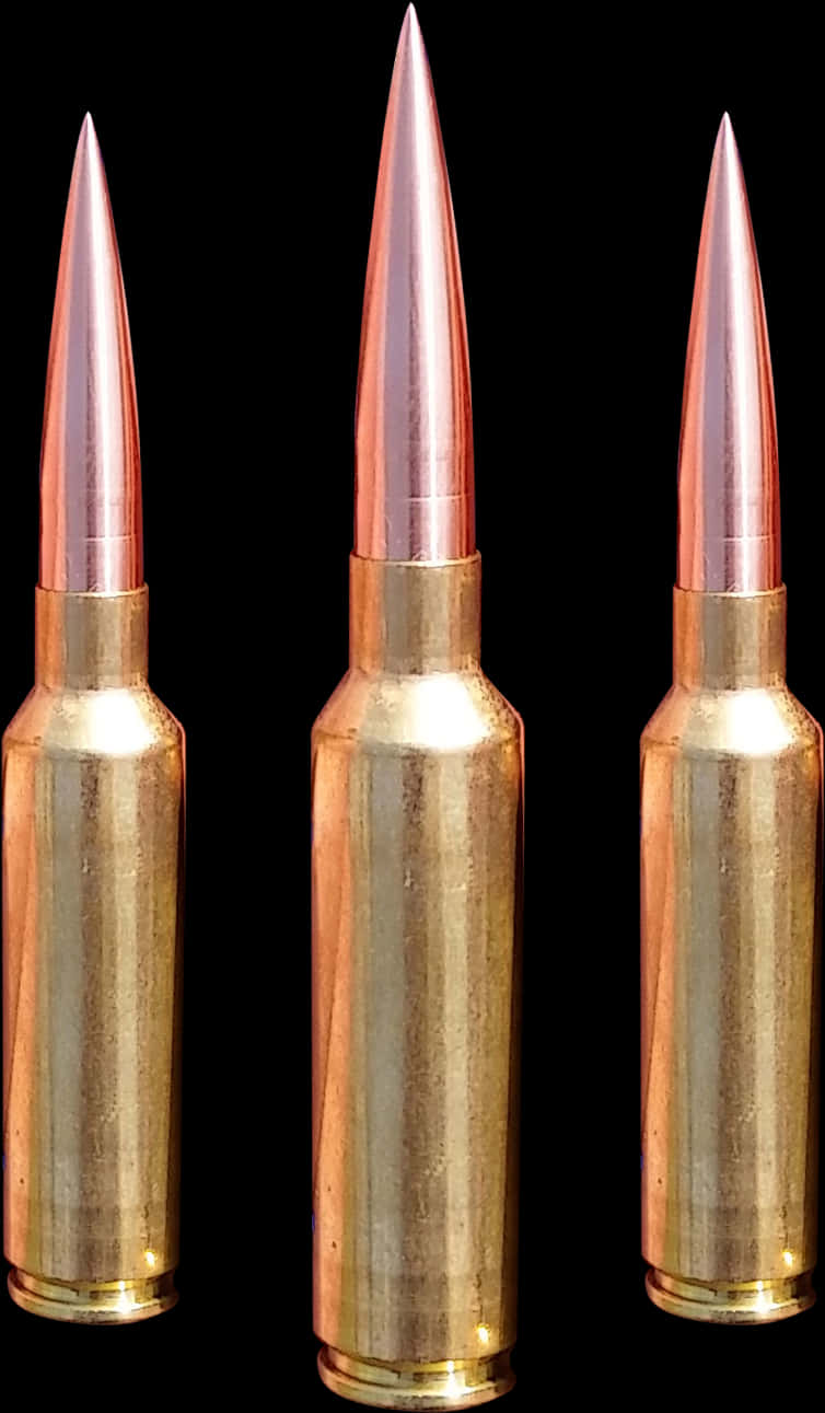 Rifle Ammunition Trio