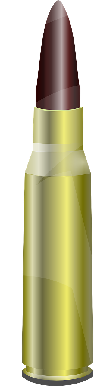 Rifle Cartridge Illustration