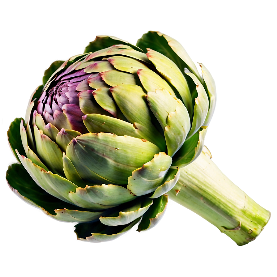 Ripe Artichoke Png Das45