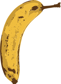 Ripe Banana Illustration PNG with transparent background