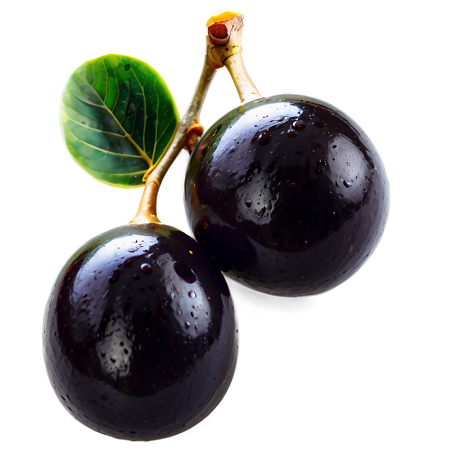 Ripe Black Olives Png 11