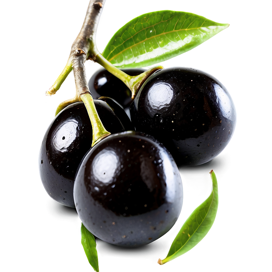 Ripe Black Olives Png 98