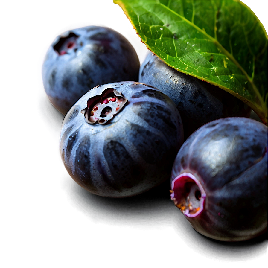 Ripe Blueberries PNG 38 PNG with transparent background