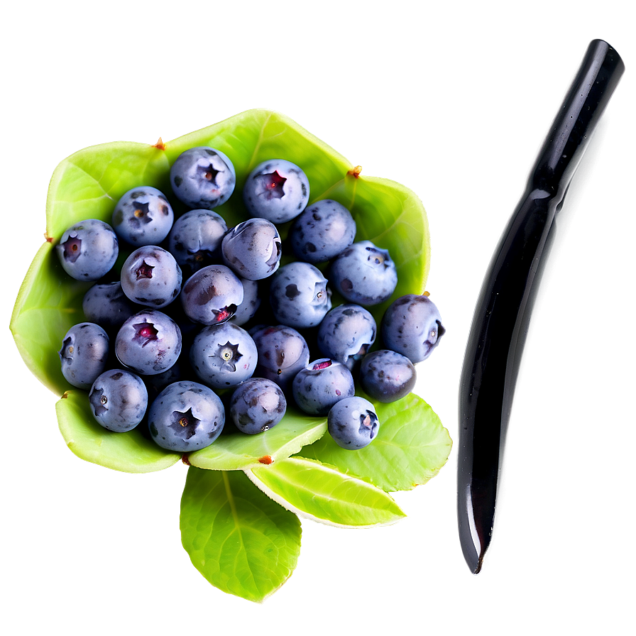 Ripe Blueberry Selection Png Wna