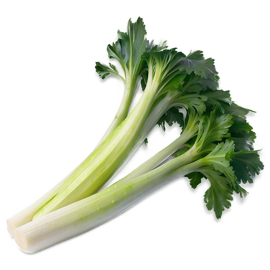 Ripe Celery Png Kgt