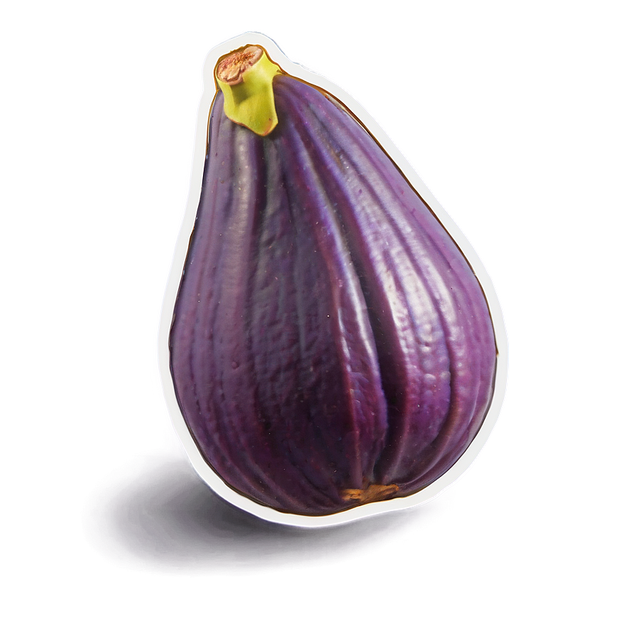Ripe Fig Illustration PNG 06202024 PNG image with a transparent background, free high-resolution download
