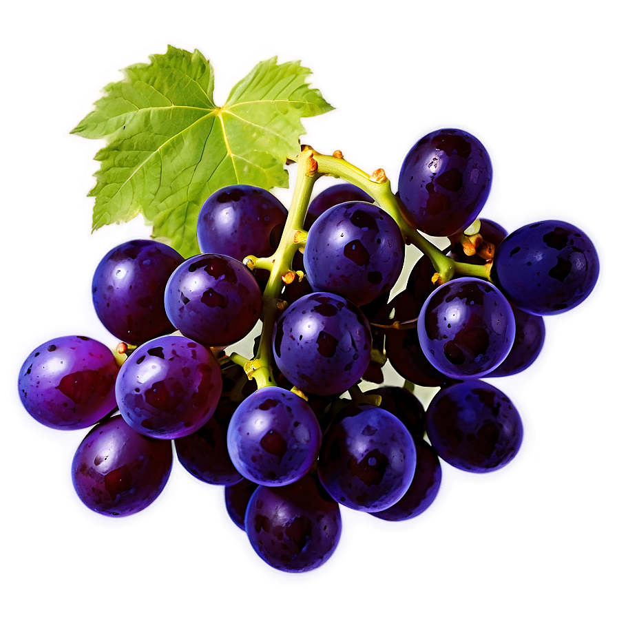 Ripe Grape Clipart Png Sep