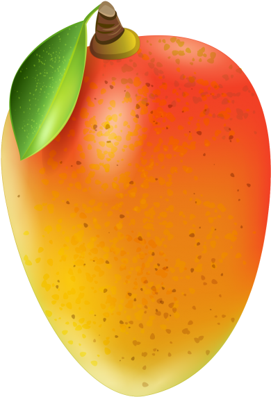 Ripe Mango Illustration PNG with transparent background
