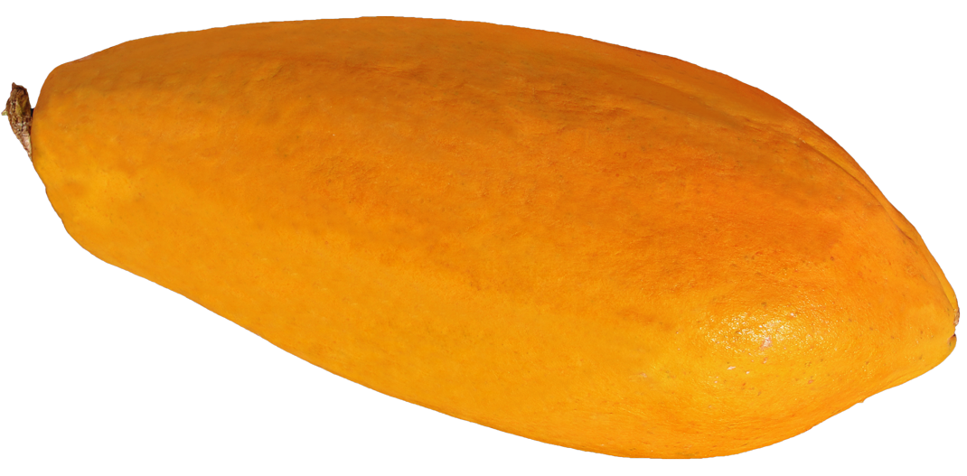 Ripe Mango Isolatedon Blue Background PNG with transparent background