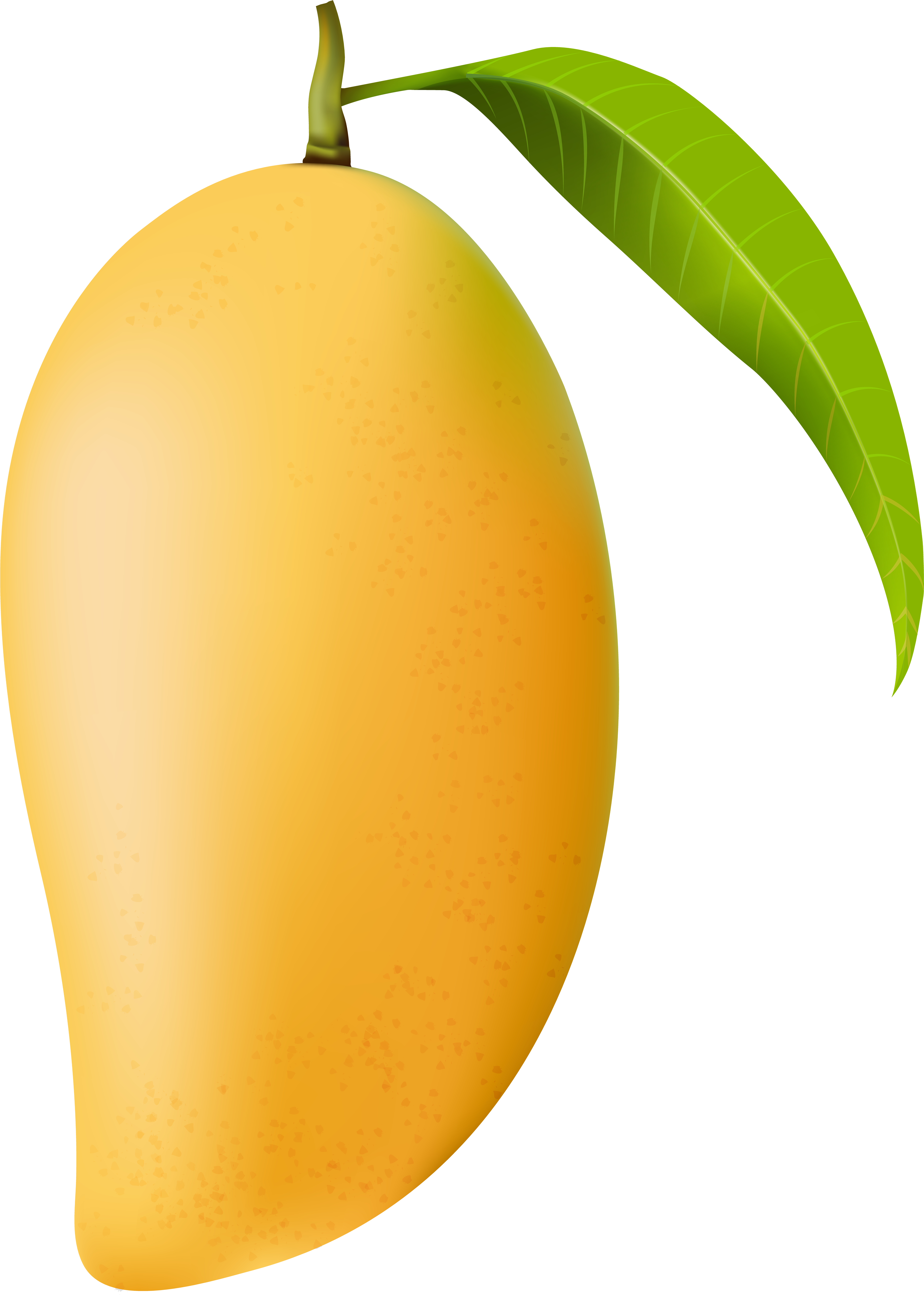 Ripe Mango With Leaf PNG with transparent background