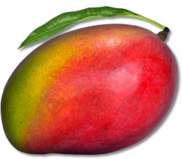Ripe Mango With Leaf PNG with transparent background
