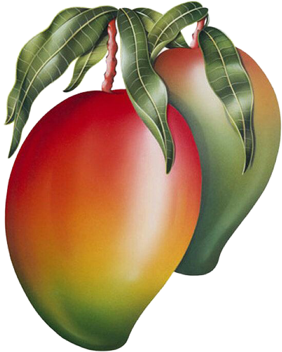 Ripe Mango With Leaves PNG with transparent background