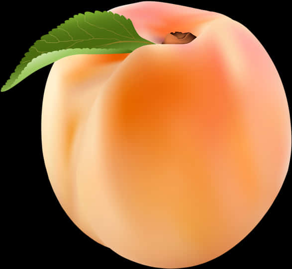 Ripe Peach Illustration