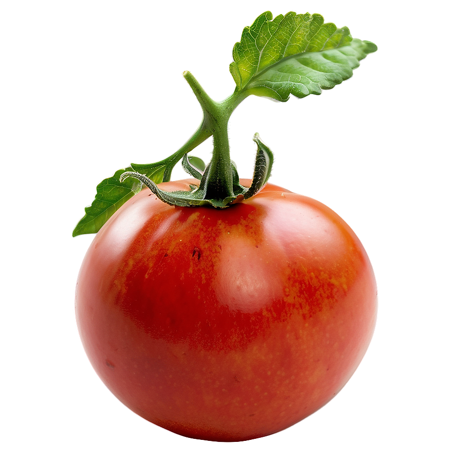 Ripe Red Tomato Png Qsn