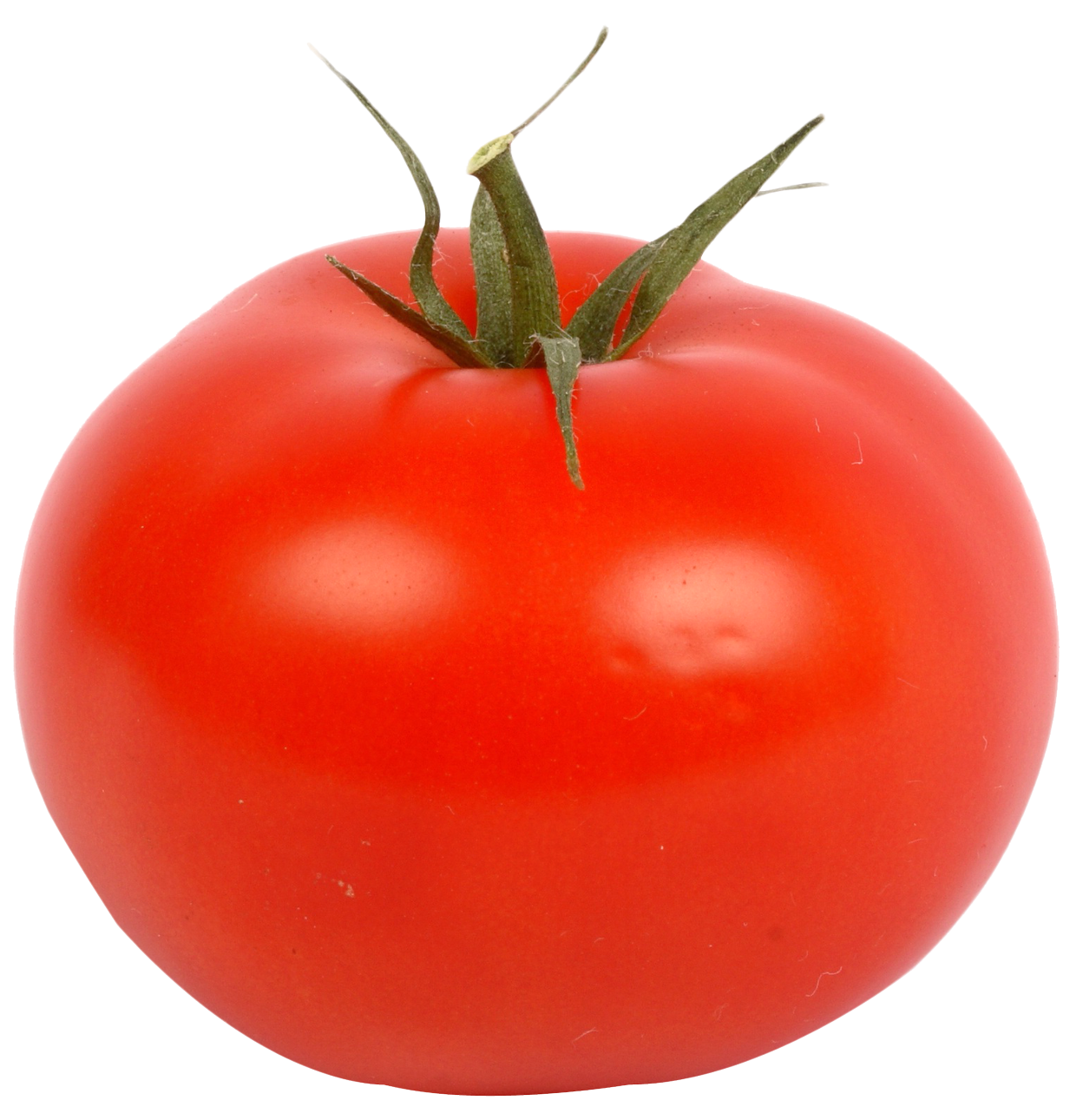 Ripe Red Tomato Single PNG with transparent background