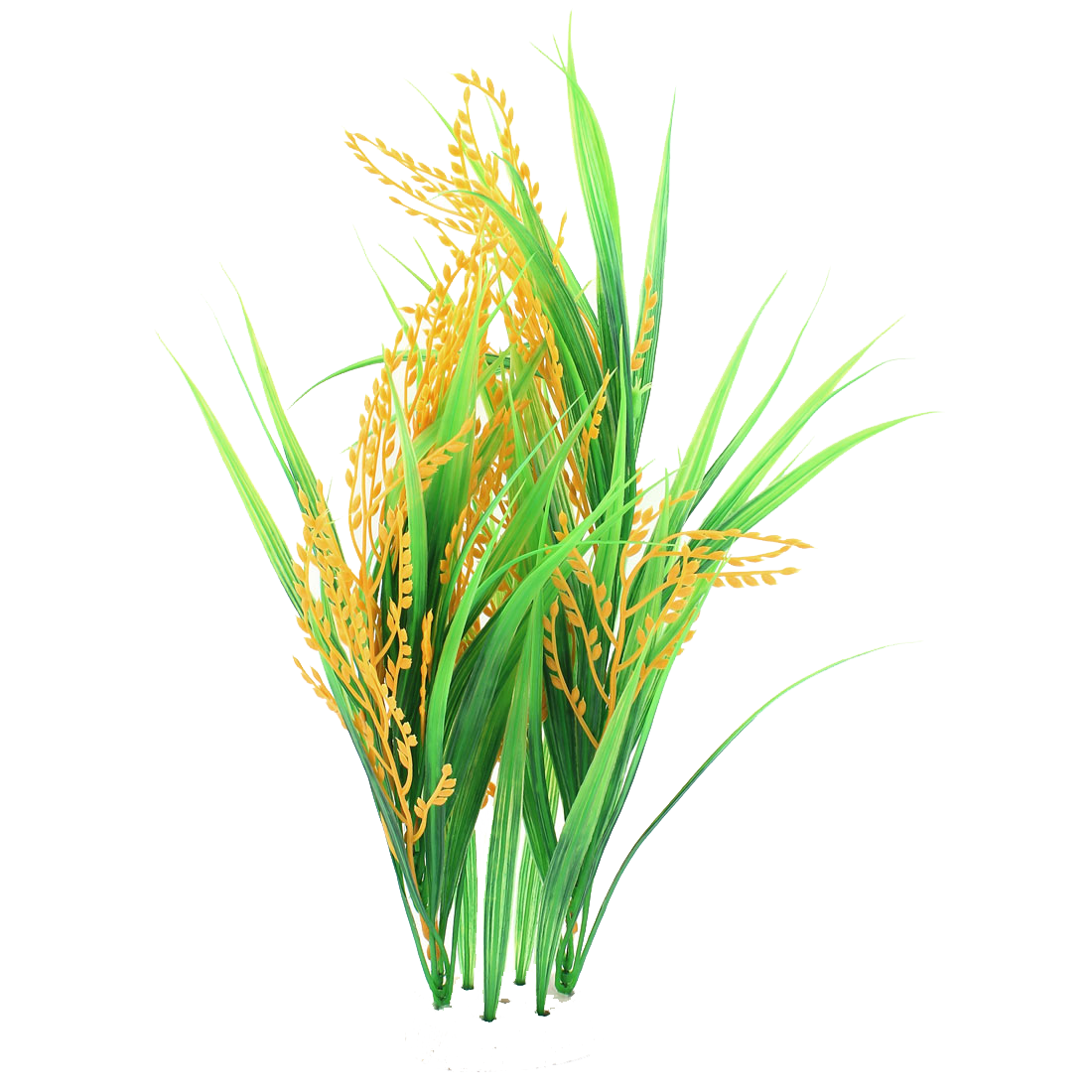 Rice PNG Picture PNG with transparent background