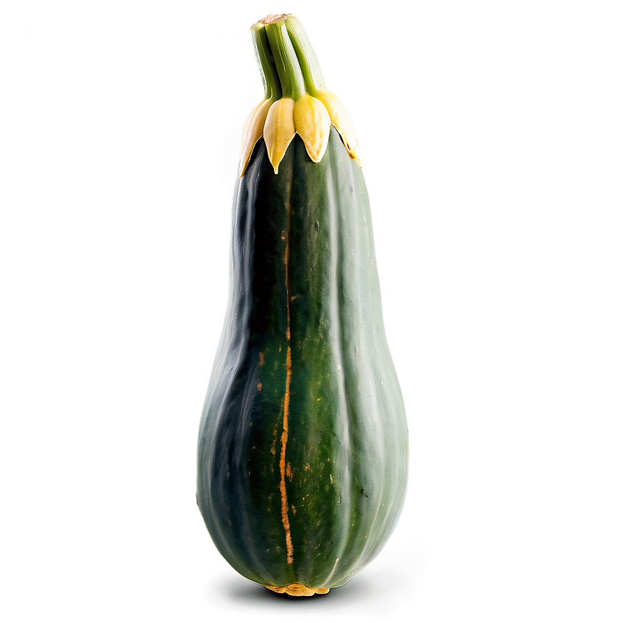 Ripe Squash Png 06122024