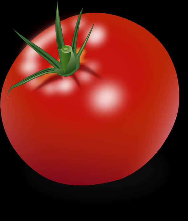 Ripe Tomato Illustration