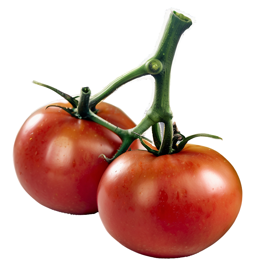 Ripe Tomato Png 05242024