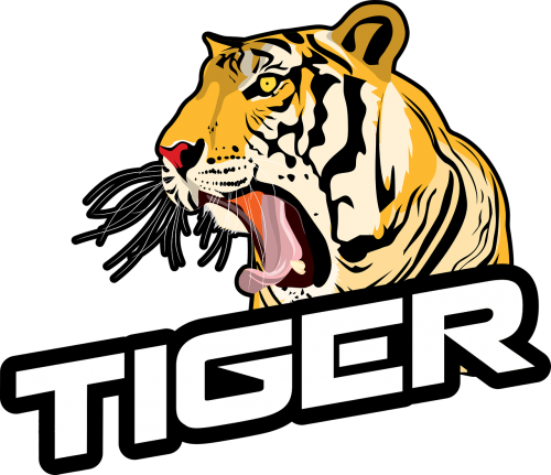 Roaring_ Tiger_ Graphic