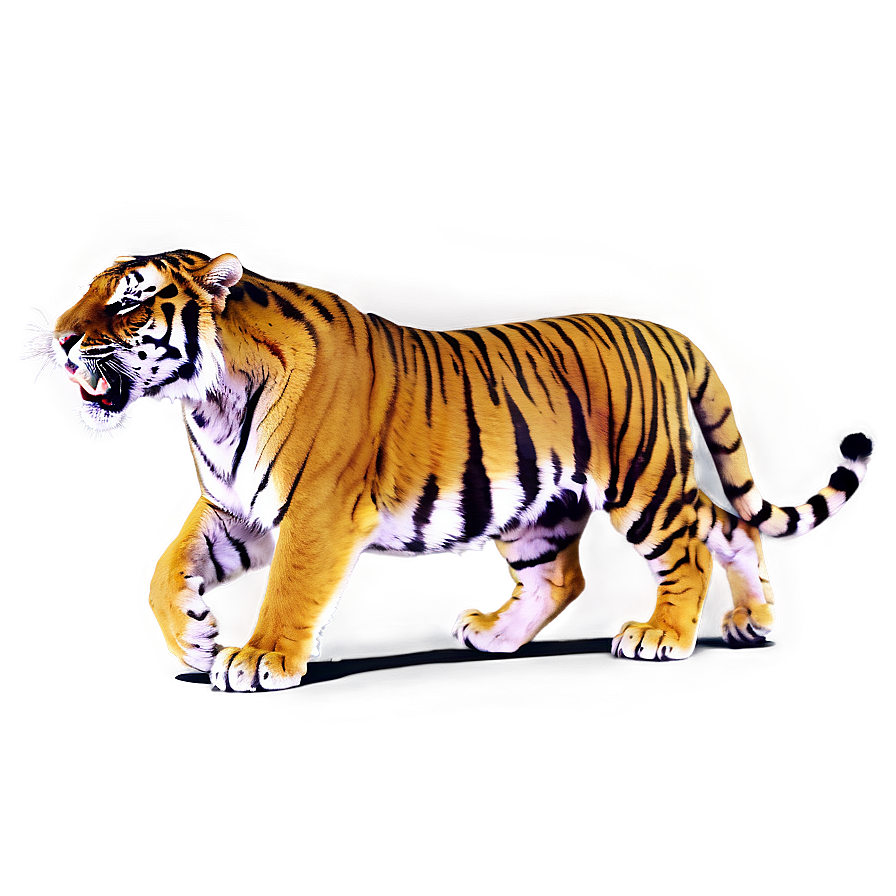 Roaring Tiger PNG ois PNG with transparent background