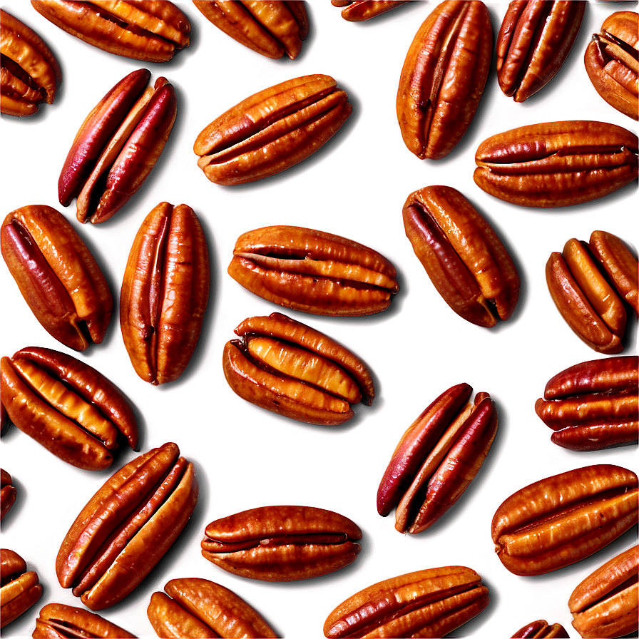 Roasted Pecan PNG 1 PNG with transparent background
