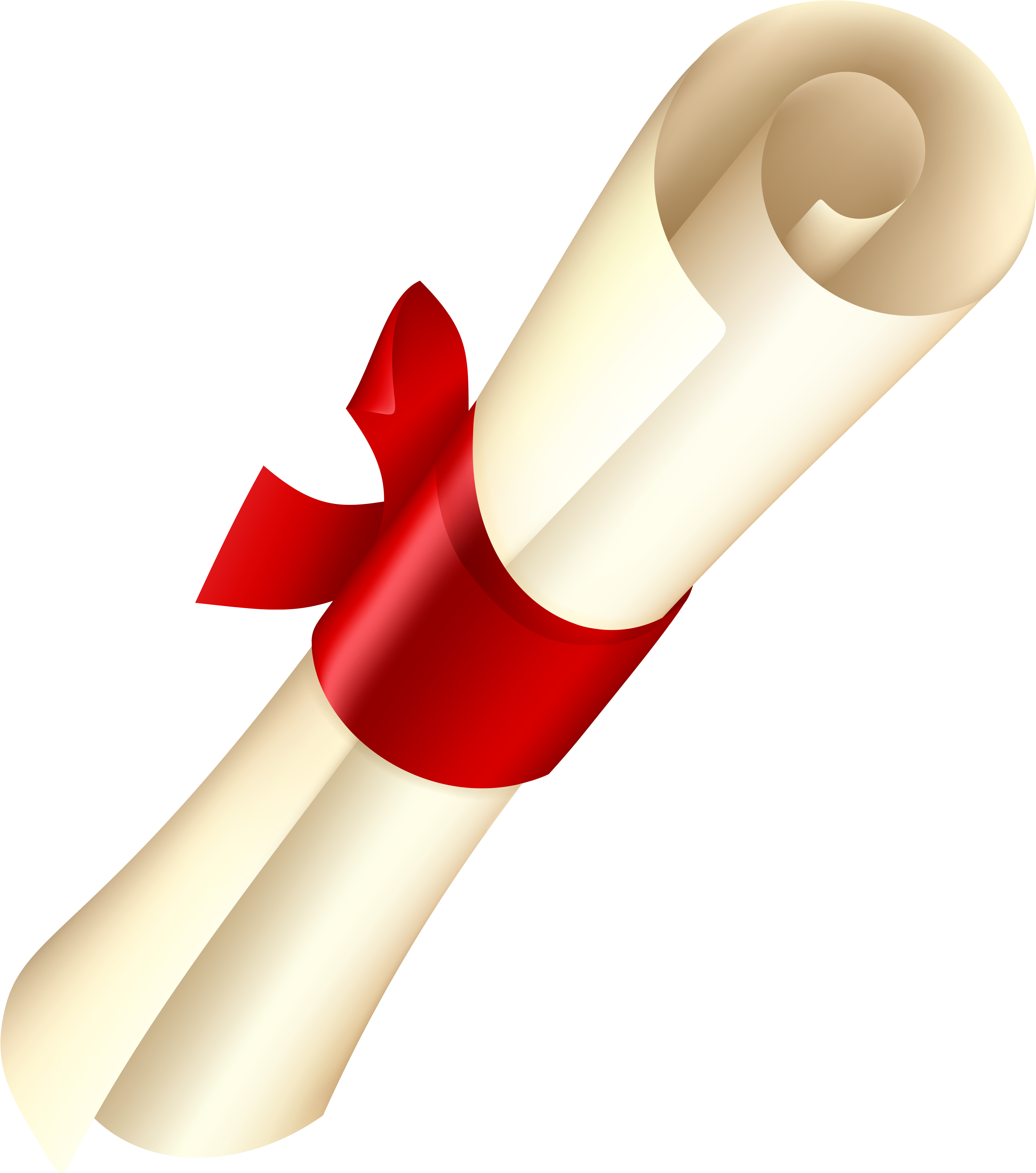 Rolled Diplomawith Red Ribbon