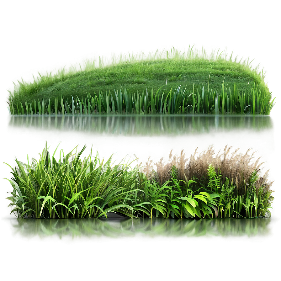 Rolling Hills Grass Png 04292024