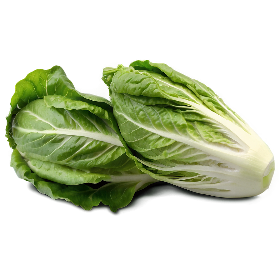 Romaine Lettuce Png 05242024