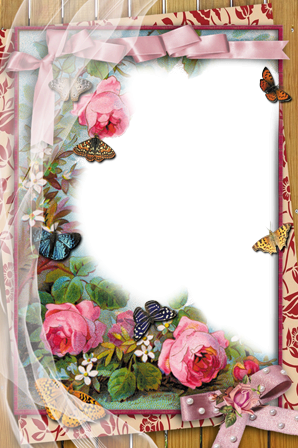 Romantic Floral Butterfly Frame